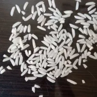 برنج طارم دم سیاه به شرط