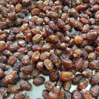 خرمای خشک خاصویی درجه یک . خرید مستقیم از باغدار|خوردنی و آشامیدنی|تهران, هلال احمر|دیوار