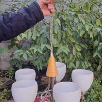 لوستر ۵ شاخه
