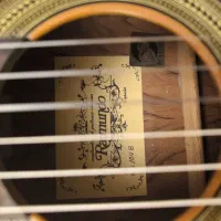 گیتار کلاسیک Raimundo مدل 104B|گیتار، بیس، امپلیفایر|شیراز, قالیشویی|دیوار