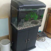 اکواریم دلسا