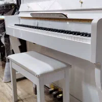 پیانو دیجیتال طرح آکوستیک Casio pxs1100