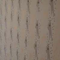 نقاش|خدمات پیشه و مهارت|بروجرد, |دیوار