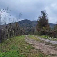 42000هزارمتر باغی مسکونی استخر گیلان