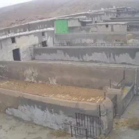 ۲ واحد دامداری با سند تک برگ طلق|فروش دفتر صنعتی، کشاورزی، تجاری|تهران, شیخ هادی|دیوار