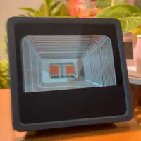 لامپ رشد گیاه مدل پرژکتوری ۱۰۰ وات فول اسپکتروم