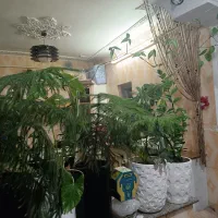 فروش فوری خانه ویلایی