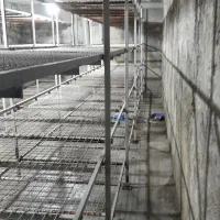 سالن قارچ اجاره ایی یا شراکتی