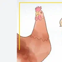 مرغ معاوضه با دوچرخه