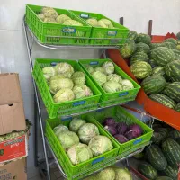 استند میوه و سبزیجات