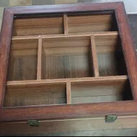 گل شفلرا و گلدان های سفالی و باکس چای|گل و گیاه طبیعی|قزوین, |دیوار