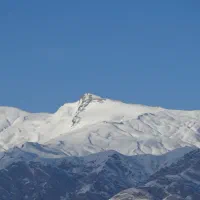 اسب نریون ۲ سال