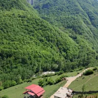 جنگلی کوهستانی