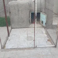 دام کفتری