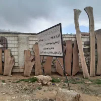 چوب و خرید و فروش تخته|عمدهفروشی|شیراز, قلات|دیوار