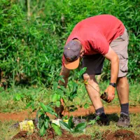 همسفر میخام