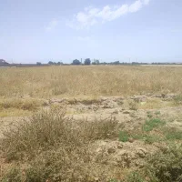 ۳۵۰۰مترزمین کشاورزی متری۴۰۰هزارتومان|فروش زمین و ملک کلنگی|مشهد, سیس‌آباد|دیوار