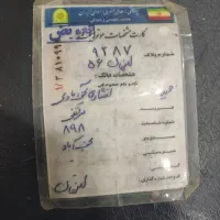 کارت موتور پیدا شده