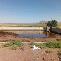 استخدام کارگر جهت کار در استخر پرورش ماهی
