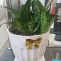 اجاره-مغازه