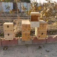 لانه مخصوص انواع طوطی|لوازم جانبی حیوانات|کهریزک, |دیوار