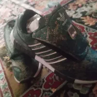 کفش سفارش امریکا
