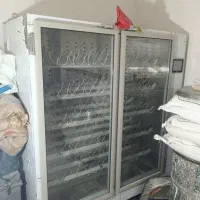 دستگاه جوجه کشی شترمرغ ۱۳۶تایی شرکت نیک هنگام