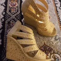 کفش مجلسی