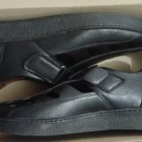 کفش سایز ۴۳