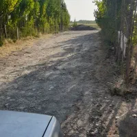 باغ واقع در اخر گلمغان|فروش زمین و ملک کلنگی|اردبیل, |دیوار