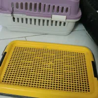 وسایل پت|لوازم جانبی حیوانات|رباط‌کریم, رباط‌کریم|دیوار