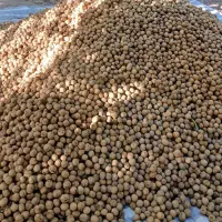 گردو درجه یک هرسین