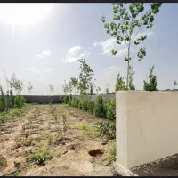 فروش-زمین-در-چهارباغ-اقدسیه-طاووسیه-افشاریه