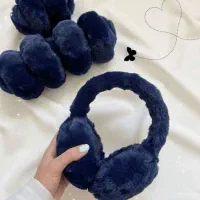 گوشگیر تاشو تدی