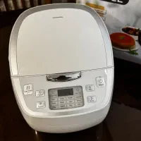 پلوپز چند کارهmigel