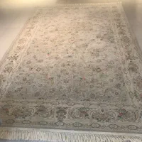 به علت مهاجرت