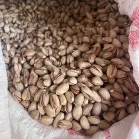 پسته امساله تمام خندان (توچین)