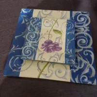 خیار خوری زیبا چهار گوش