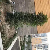 فروش آپارتمان ۹۸ متری به صورت نقد و اقساط|فروش آپارتمان|اصفهان, شهرک گل نرگس|دیوار