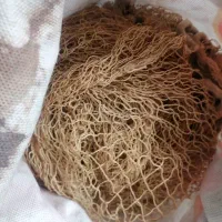 تور مخصوص سیره