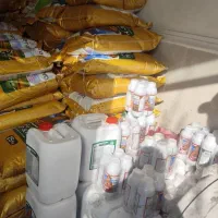 مژده مژده درخت و زمینت رو بسپاربمن