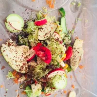 حلزون طبی آچاتینا آلبینو تراپی|خزنده|تهران, راه آهن|دیوار