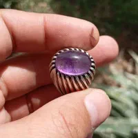 آماتیس برزیلی خوش رنگ|بدلیجات|سبزوار, امیر کبیر|دیوار