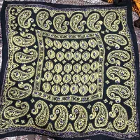 ۵عددیایلق قدیمی|لباس|اردبیل, |دیوار