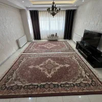 فرش۶ متری دستبافت گونه دیبا|فرش|تبریز, |دیوار