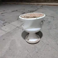 گلدون