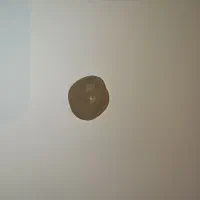 سنگ شیشهای|کلکسیون اشیاء عتیقه|پارسآباد, |دیوار