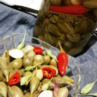 دبه ای قیمت مناسب