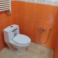 نصب شیرآلات توالدفرنگی رفع نم ترکیدگی لوله کشی و..