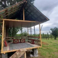 اجاره شبانه ویلا جنگلی|اجارهٔ کوتاهمدت آپارتمان و سوئیت|سیاهکل, |دیوار